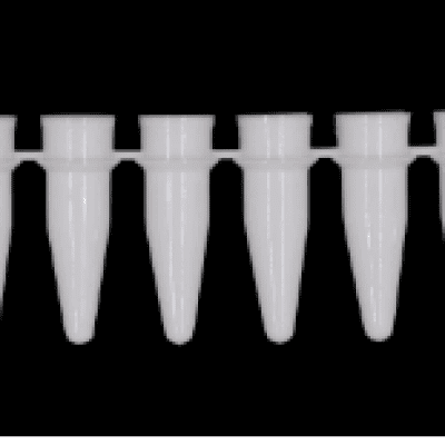 DÃY 8 ỐNG PCR 0.2ML NẮP BẰNG (MÀU TRẮNG)
