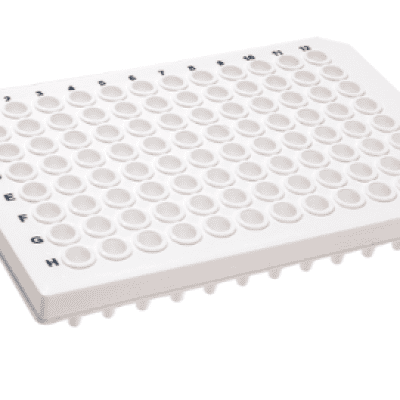 ĐĨA PCR 0.1 ML 96 VI TRÍ