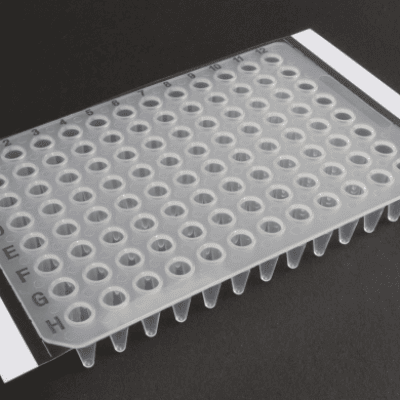 MIẾNG DÁN ĐĨA PCR
