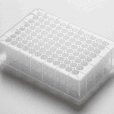 ĐĨA SPE (Empty SPE Multi-Well Plates)